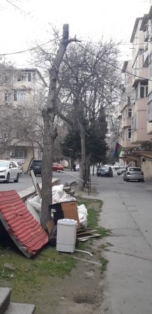 "JEK"müdiri hara baxır?