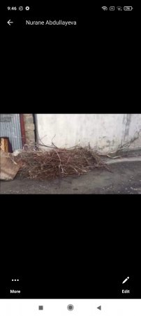 Zibillik, üfunət, baş alıb gedən xəstəliklər: Sakinlərin şikayətinə niyə baxılmır? 