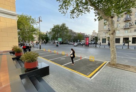 Bakının mərkəzində rəzillik: Məmurlar çoxillik ağacları kəsib parkinq etdilər - FOTOLAR Bakının mərkəzində rəzillik: Məmurlar çoxillik ağacları kəsib parkinq etdilər - FOTOLAR