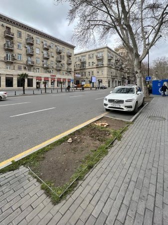 Bakının mərkəzində rəzillik: Məmurlar çoxillik ağacları kəsib parkinq etdilər - FOTOLAR Bakının mərkəzində rəzillik: Məmurlar çoxillik ağacları kəsib parkinq etdilər - FOTOLAR