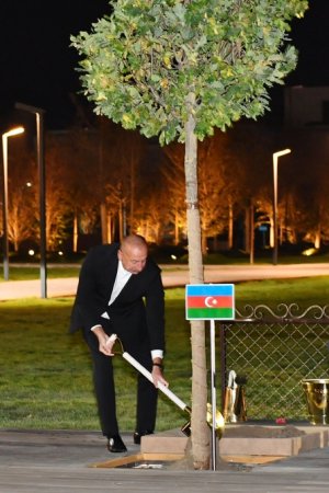 Prezidentlər Səmərqənddə ağac əkdilər - FOTO