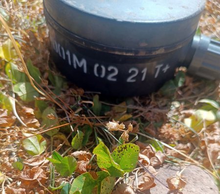Laçında növbəti erməni təxribatı - Yeni basdırılmış minalar zərərsizləşdirildi