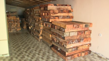 Milli Parkda ağacları kütləvi şəkildə kəsən dəstə üzvləri saxlanıldı