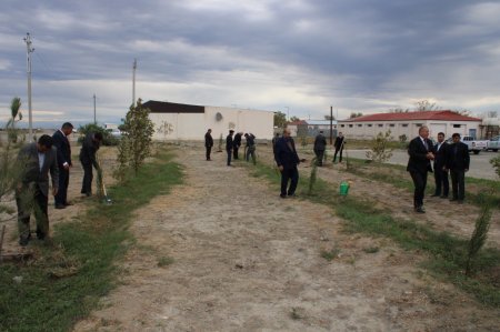 1 Noyabr - Kənd Təsərrüfatı işçilərinin Peşə Bayramıdır