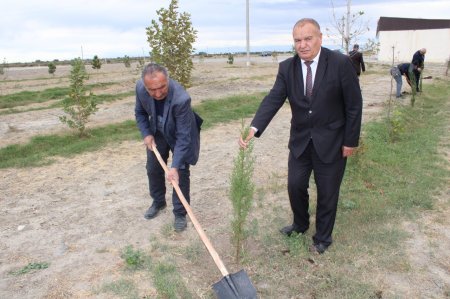 1 Noyabr - Kənd Təsərrüfatı işçilərinin Peşə Bayramıdır