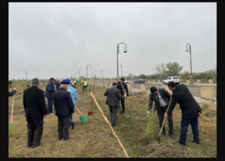 YAP-ın yaranmasının 30 illiyi münasibətilə Laçın rayonunda ağacəkmə aksiyası keçirilib