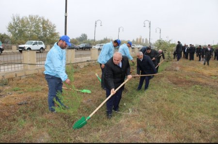 YAP-ın yaranmasının 30 illiyi münasibətilə Laçın rayonunda ağacəkmə aksiyası keçirilib