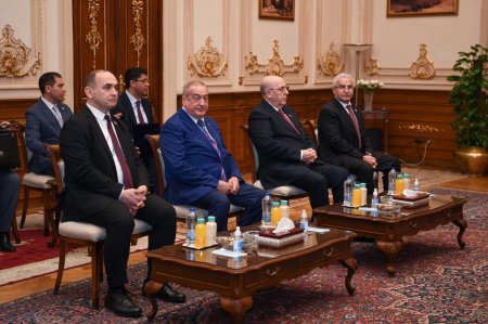 Sahibə Qafarova Misir Nümayəndələr Palatasının sədri ilə görüşdü