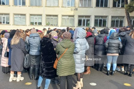 Zaqatalada yeni direktor təyinatı etirazla qarşılandı - FOTOLAR