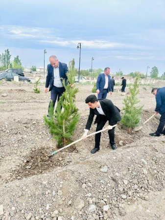 TƏBİB-in tabeliyindəki Laçın Rayon Mərkəzi Xəstəxanasının təşkilatçılığı ilə ağacəkmə aksiyası keçirilib.