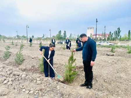 TƏBİB-in tabeliyindəki Laçın Rayon Mərkəzi Xəstəxanasının təşkilatçılığı ilə ağacəkmə aksiyası keçirilib.