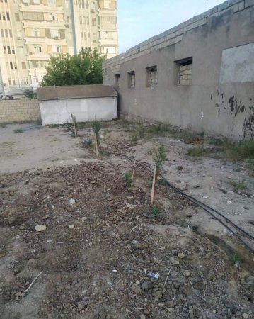 "Qaradağ rayonu Səngəçal  qəsəbəsində yeni park salınır"