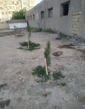 "Qaradağ rayonu Səngəçal  qəsəbəsində yeni park salınır"
