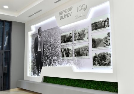 Prezident nazirliyin yeni binasının açılışında - FOTOLAR