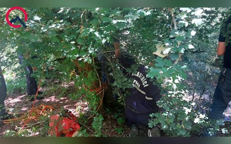 Turla Lerikə getdi, dərəyə düşüb öldü - Fotolar