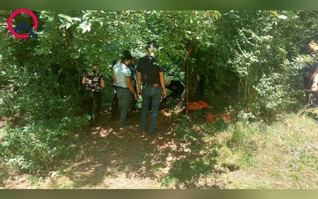 Turla Lerikə getdi, dərəyə düşüb öldü - Fotolar