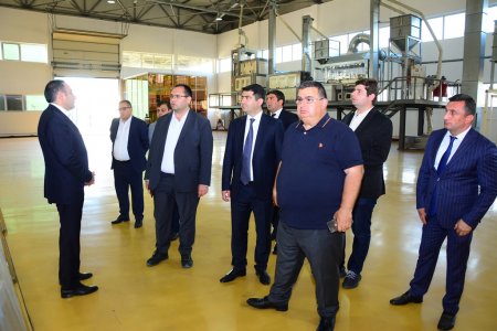 Kənd Təsərrüfatı naziri Məcnun Məmmədov Ağstafada təsərrüfatlara baş çəkib, Həzi Aslanov qəsəbəsinin sakinləri ilə görüşüb