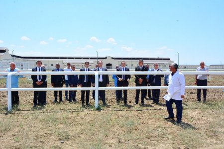 Kənd Təsərrüfatı naziri Məcnun Məmmədov Ağstafada təsərrüfatlara baş çəkib, Həzi Aslanov qəsəbəsinin sakinləri ilə görüşüb