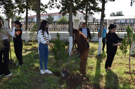 İmişli rayonunda Şəhidlərin xatirəsinə ağacəkmə aksiyası keçirilib