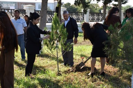 İmişli rayonunda Şəhidlərin xatirəsinə ağacəkmə aksiyası keçirilib