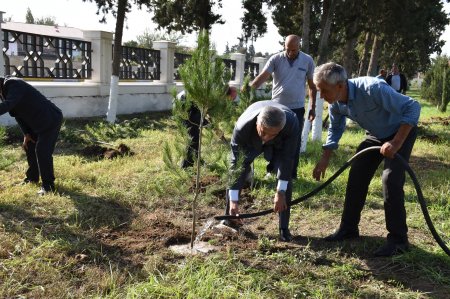 İmişli rayonunda Şəhidlərin xatirəsinə ağacəkmə aksiyası keçirilib