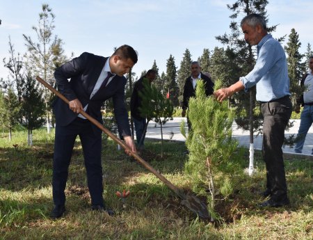 İmişli rayonunda Şəhidlərin xatirəsinə ağacəkmə aksiyası keçirilib