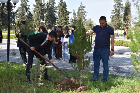 İmişli rayonunda Şəhidlərin xatirəsinə ağacəkmə aksiyası keçirilib