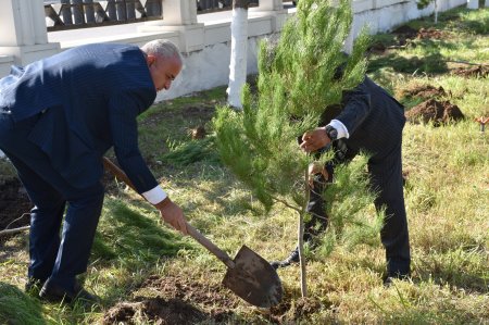 İmişli rayonunda Şəhidlərin xatirəsinə ağacəkmə aksiyası keçirilib