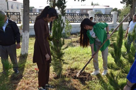 İmişli rayonunda Şəhidlərin xatirəsinə ağacəkmə aksiyası keçirilib