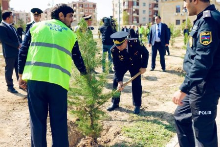27 sentyabr “Anım Günü”ilə əlaqədar olaraq ağacəkmə aksiyası keçirilib.