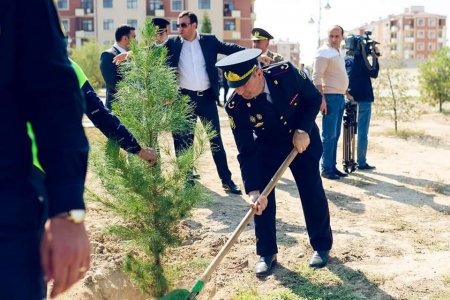 27 sentyabr “Anım Günü”ilə əlaqədar olaraq ağacəkmə aksiyası keçirilib.