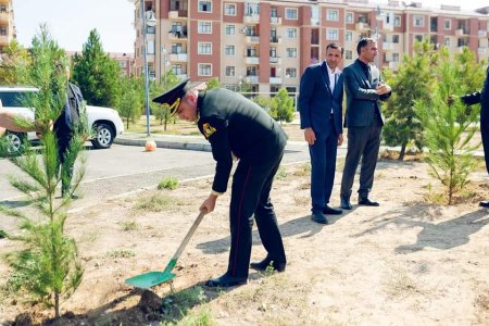 27 sentyabr “Anım Günü”ilə əlaqədar olaraq ağacəkmə aksiyası keçirilib.