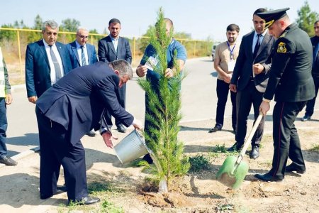 27 sentyabr “Anım Günü”ilə əlaqədar olaraq ağacəkmə aksiyası keçirilib.