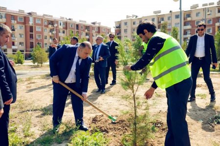 27 sentyabr “Anım Günü”ilə əlaqədar olaraq ağacəkmə aksiyası keçirilib.