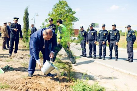 27 sentyabr “Anım Günü”ilə əlaqədar olaraq ağacəkmə aksiyası keçirilib.