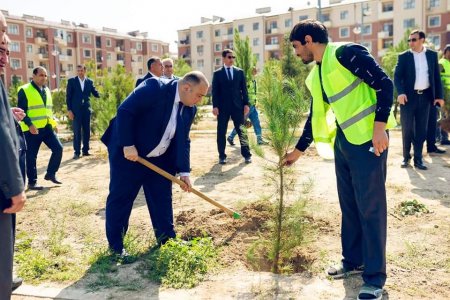 27 sentyabr “Anım Günü”ilə əlaqədar olaraq ağacəkmə aksiyası keçirilib.