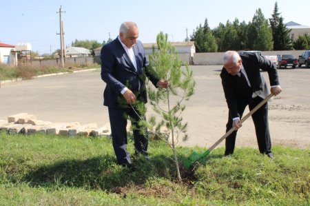 Yeni Azərbaycan Partiyası Laçın rayon təşkilatında konfrans keçirib