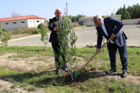 Yeni Azərbaycan Partiyası Laçın rayon təşkilatında konfrans keçirib
