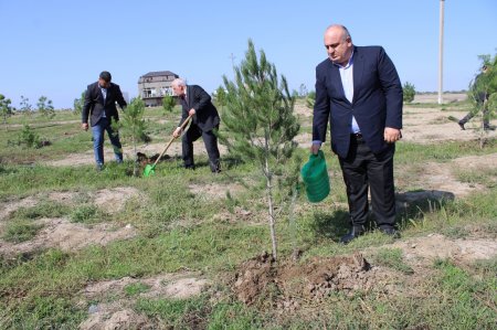 Yeni Azərbaycan Partiyası Laçın rayon təşkilatında konfrans keçirib