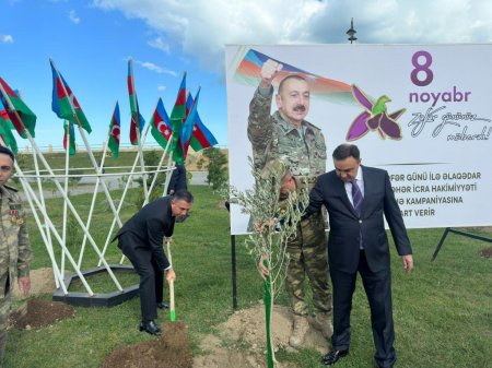 Sumqayıtda Zəfər Günü münasibətilə ağacəkmə aksiyası keçirilib – FOTOLAR