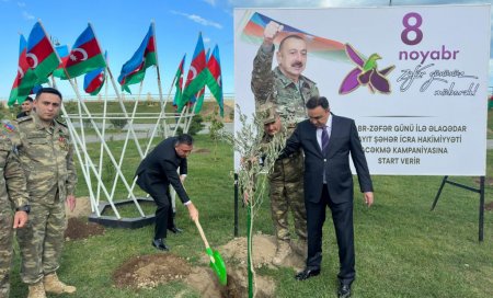 Sumqayıtda Zəfər Günü münasibətilə ağacəkmə aksiyası keçirilib – FOTOLAR