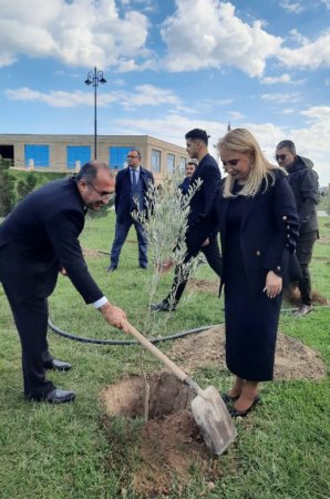 Sumqayıtda Zəfər Günü münasibətilə ağacəkmə aksiyası keçirilib – FOTOLAR