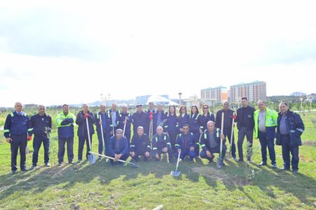Sumqayıtda Zəfər Günü münasibətilə ağacəkmə aksiyası keçirilib – FOTOLAR