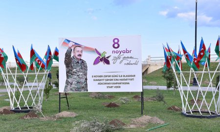 Sumqayıtda Zəfər Günü münasibətilə ağacəkmə aksiyası keçirilib – FOTOLAR