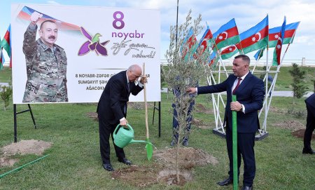 Sumqayıtda Zəfər Günü münasibətilə ağacəkmə aksiyası keçirilib – FOTOLAR