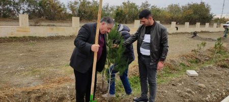 YAP Laçın rayon təşkilatı ağacəkmə aksiyası keçirib