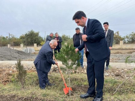 YAP Laçın rayon təşkilatı ağacəkmə aksiyası keçirib