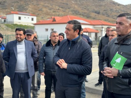 Zabuxda ağacəkmə aksiyası keçirilib.VİDEO