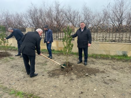 Laçınlılar “Yaşıl dünya naminə həmrəylik ili” çərçivəsində ağacəkmə aksiyası keçirmişlər.