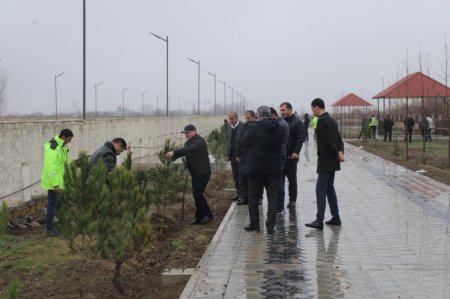 Laçınlılar “Yaşıl dünya naminə həmrəylik ili” çərçivəsində ağacəkmə aksiyası keçirmişlər.